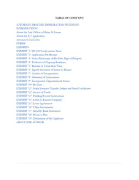 Thumbnail for E-2 Treaty Investor Business Visa Application