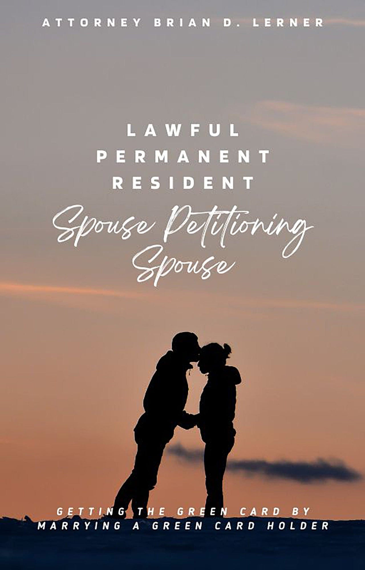 Rocket Immigration Petitions Immigration Visa Attorney Drafted Immigration Petitions LPR Spouse Petitioning Spouse